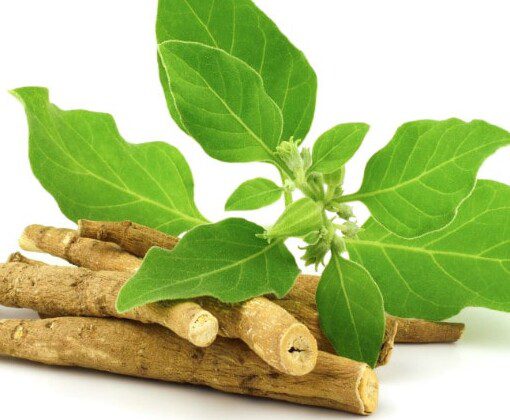 Ashwagandha and Thyroid