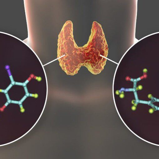 THYROID FUNCTION TESTS